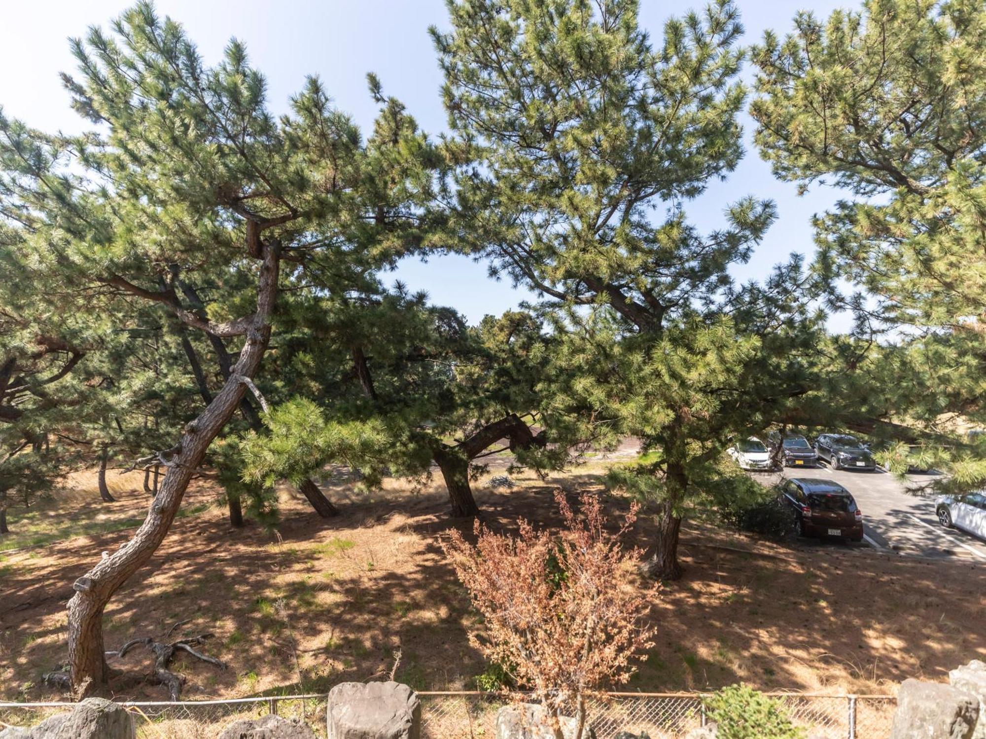 Tabist Kotohikisou Hotel Kanonji Bagian luar foto